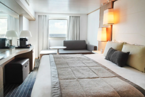 Window or Porthole Stateroom 